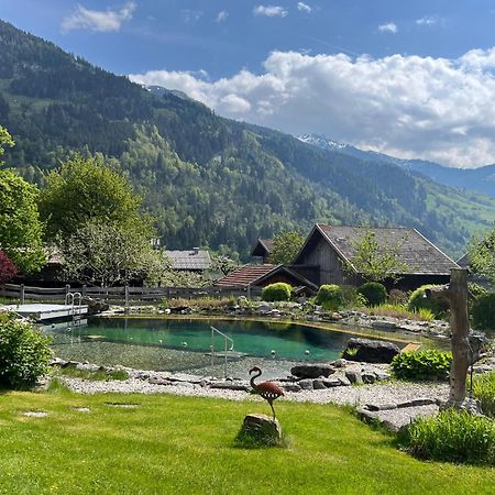 Appartement Alte Schmiede Dorfgastein Dış mekan fotoğraf