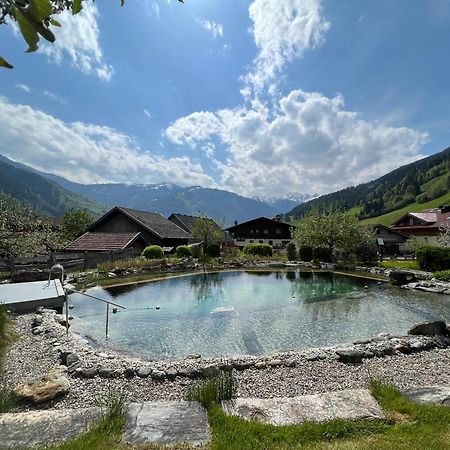 Appartement Alte Schmiede Dorfgastein Dış mekan fotoğraf