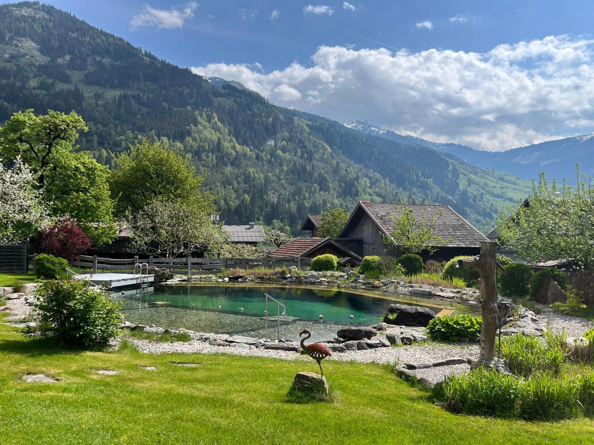 Appartement Alte Schmiede Dorfgastein Dış mekan fotoğraf