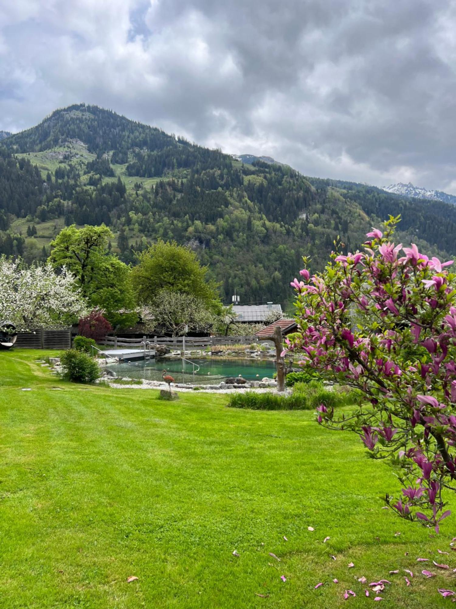 Appartement Alte Schmiede Dorfgastein Dış mekan fotoğraf